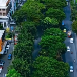 Perluasan Jalan Ir Soekarno Tingkatkan Kenyamanan Mobilitas Masyarakat Kota Surabaya
